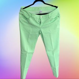 Garden Fairy Collection: Mint skinnys